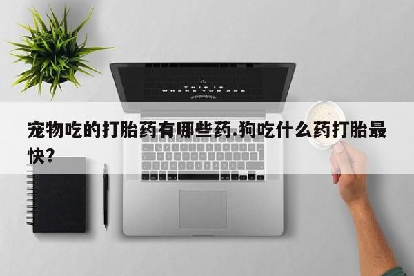 打胎药/流产药专卖微信宠物吃的打胎药有哪些药.狗吃什么药打胎最快？