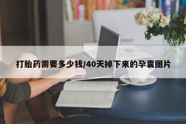 打胎药/流产药专卖微信打胎药需要多少钱/40天掉下来的孕囊图片